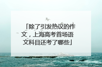 除了引发热议的作文，上海高考首场语文科目还考了哪些