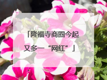 隆福寺商圈今起又多一“网红”