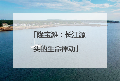 隆宝滩：长江源头的生命律动