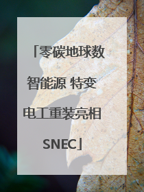 零碳地球数智能源 特变电工重装亮相SNEC