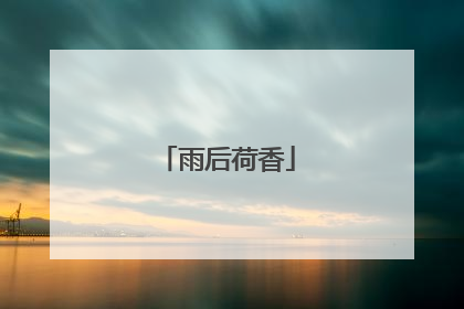 雨后荷香