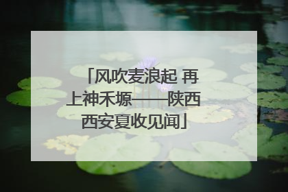 风吹麦浪起 再上神禾塬——陕西西安夏收见闻