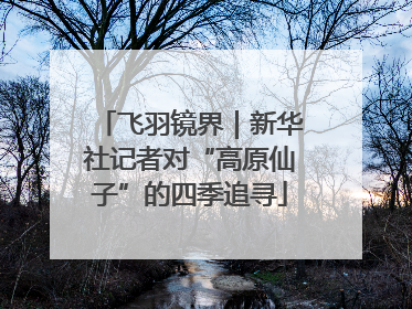 飞羽镜界｜新华社记者对“高原仙子”的四季追寻