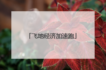 飞地经济加速跑