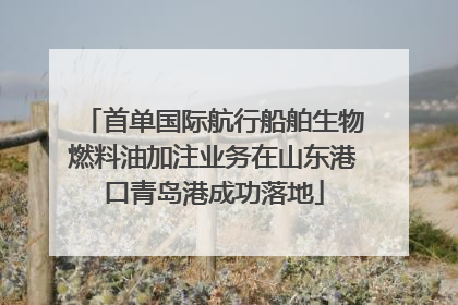 首单国际航行船舶生物燃料油加注业务在山东港口青岛港成功落地