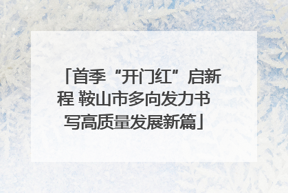 首季“开门红”启新程 鞍山市多向发力书写高质量发展新篇