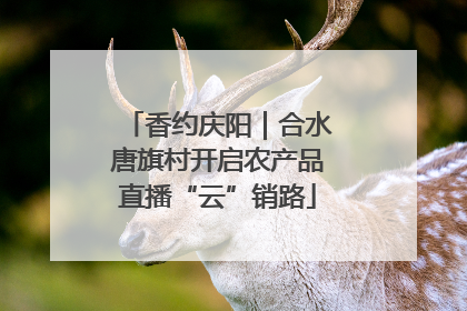 香约庆阳｜合水唐旗村开启农产品直播“云”销路