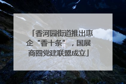 香河园街道推出惠企“香十条”，国展商圈党建联盟成立