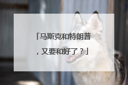 马斯克和特朗普，又要和好了？