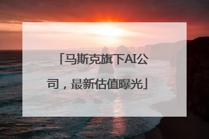 马斯克旗下AI公司，最新估值曝光
