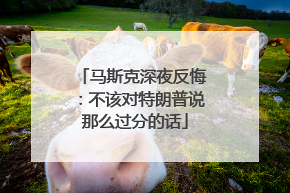 马斯克深夜反悔：不该对特朗普说那么过分的话