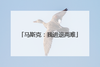 马斯克：我进退两难