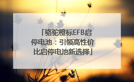 骆驼橙标EFB启停电池：引领高性价比启停电池新选择