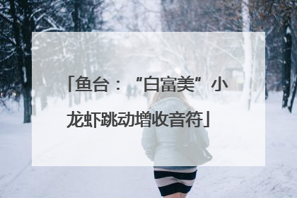 鱼台：“白富美”小龙虾跳动增收音符