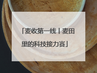 麦收第一线丨麦田里的科技接力赛