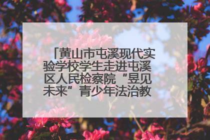 黄山市屯溪现代实验学校学生走进屯溪区人民检察院“昱见未来”青少年法治教育宣传基地