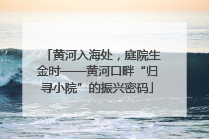 黄河入海处，庭院生金时——黄河口畔“归寻小院”的振兴密码