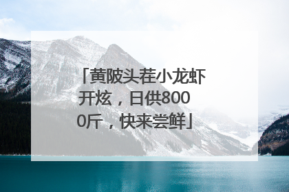 黄陂头茬小龙虾开炫，日供8000斤，快来尝鲜