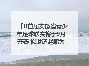 ﻿首届安徽省青少年足球联赛将于9月开赛 拟邀请赵鹏为先导赛开球