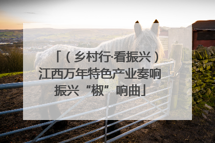 （乡村行·看振兴）江西万年特色产业奏响振兴“椒”响曲