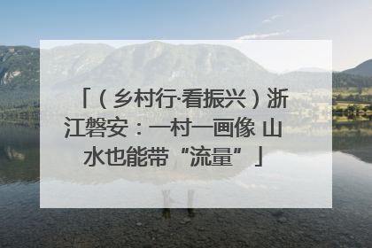 （乡村行·看振兴）浙江磐安：一村一画像 山水也能带“流量”