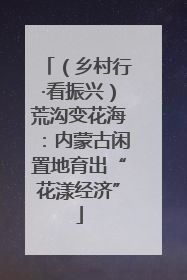 （乡村行·看振兴）荒沟变花海：内蒙古闲置地育出“花漾经济”