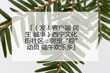 （发！客户端 民生 城事）西宁文化街社区：邻里“粽”动员 端午欢乐多