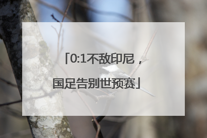 0:1不敌印尼，国足告别世预赛