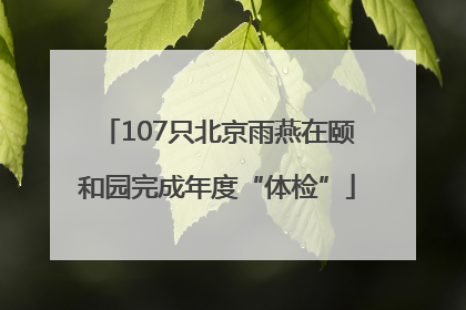 107只北京雨燕在颐和园完成年度“体检”