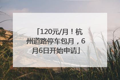120元/月！杭州道路停车包月，6月6日开始申请