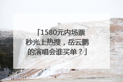 1580元内场票秒光上热搜，岳云鹏的演唱会谁买单？