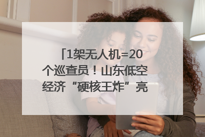1架无人机=20个巡查员！山东低空经济“硬核王炸”亮相青岛，下一个万亿赛道藏在这里