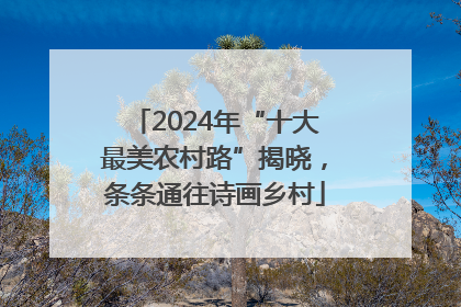 2024年“十大最美农村路”揭晓，条条通往诗画乡村