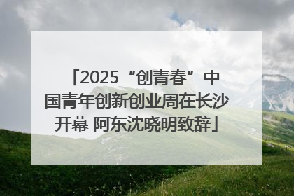 2025“创青春”中国青年创新创业周在长沙开幕 阿东沈晓明致辞
