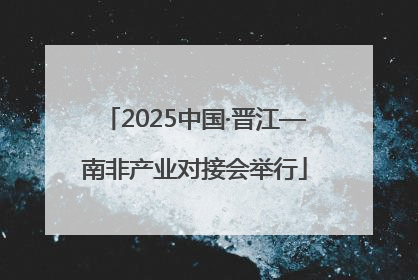 2025中国·晋江—南非产业对接会举行