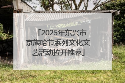 2025年东兴市京族哈节系列文化文艺活动拉开帷幕