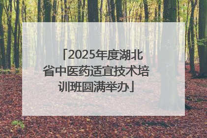 2025年度湖北省中医药适宜技术培训班圆满举办