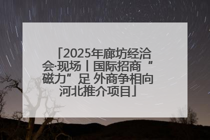 2025年廊坊经洽会·现场丨国际招商“磁力”足 外商争相向河北推介项目