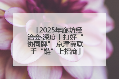 2025年廊坊经洽会·深度丨打好“协同牌” 京津冀联手“链”上招商