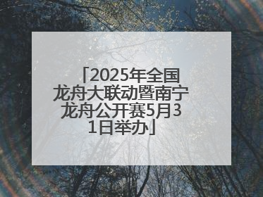 2025年全国龙舟大联动暨南宁龙舟公开赛5月31日举办