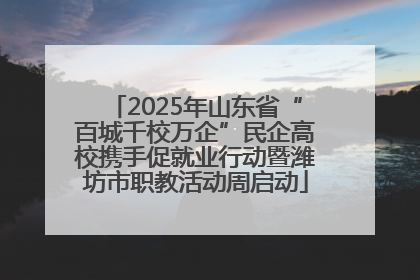 2025年山东省“百城千校万企”民企高校携手促就业行动暨潍坊市职教活动周启动