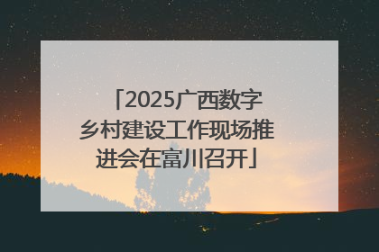 2025广西数字乡村建设工作现场推进会在富川召开