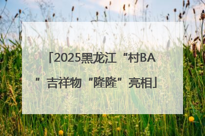 2025黑龙江“村BA”吉祥物“隆隆”亮相