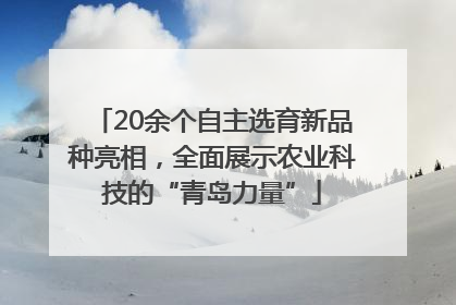 20余个自主选育新品种亮相，全面展示农业科技的“青岛力量”