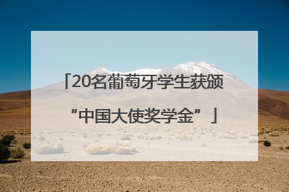 20名葡萄牙学生获颁“中国大使奖学金”