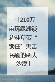 210万亩环绿洲锁边林草带“锁住”夹击民勤的两大沙漠