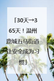30天→365天！温州鹿城五马街道让安全成为习惯