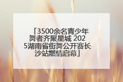 3500余名青少年舞者齐聚星城 2025湖南省街舞公开赛长沙站燃情启幕