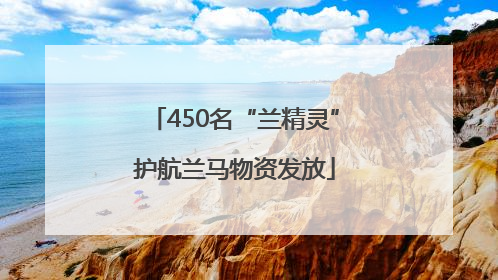 450名“兰精灵”护航兰马物资发放