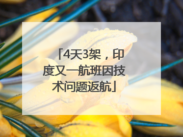 4天3架，印度又一航班因技术问题返航